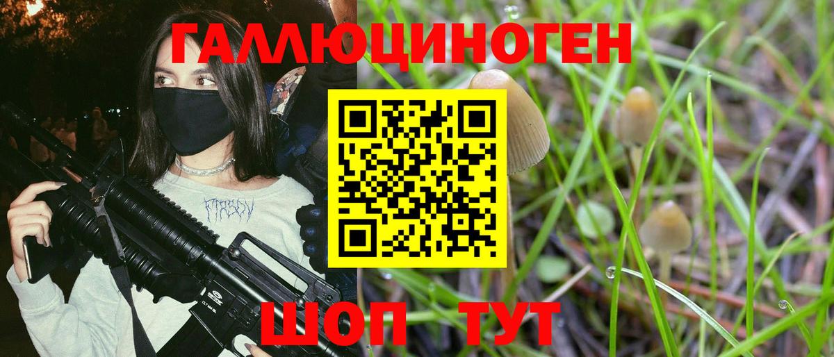 Псилоцибиновые грибы Cubensis  Галлюциногенные грибы мицелий  Павлово  Вход с VPN 